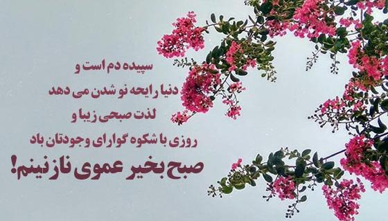 عکس صبح بخیر خوشگلم