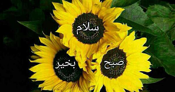 عکس سلام صبح یکشنبه تون بخیر
