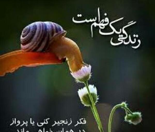 دانلود عکس صبح بخیر دوشنبه