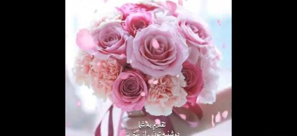 دانلود عکس صبح بخیر دوشنبه
