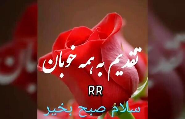 دانلود عکس صبح بخیر دوشنبه