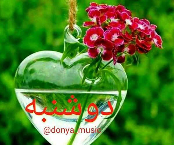 دانلود عکس صبح بخیر دوشنبه