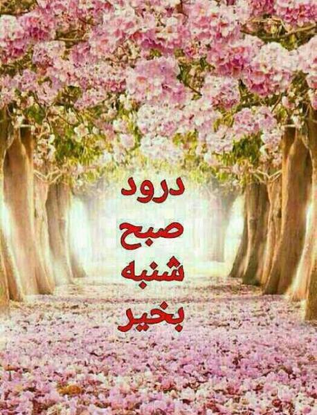 عکس صبح همگی بخیر