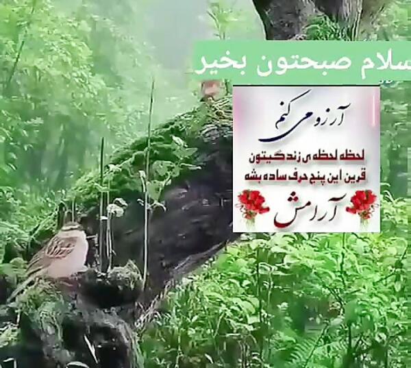 عکس سلام صبح بخیر همراه با دعا