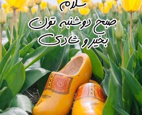 متن و عکس صبح بخیر دوشنبه