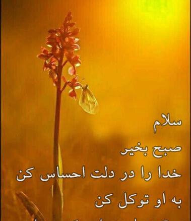 صبح بخیر های زیبا همراه با عکس