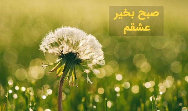 عکسهای برای صبح بخیر گفتن