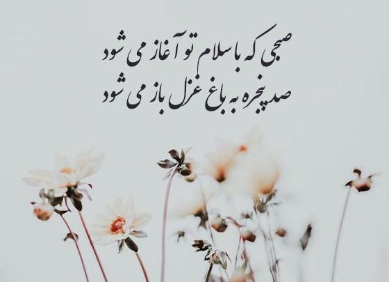 عکس گل برای صبح بخیر گفتن