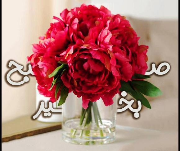 عکس گل برای صبح بخیر گفتن
