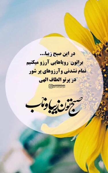 عکس گل برای صبح بخیر گفتن