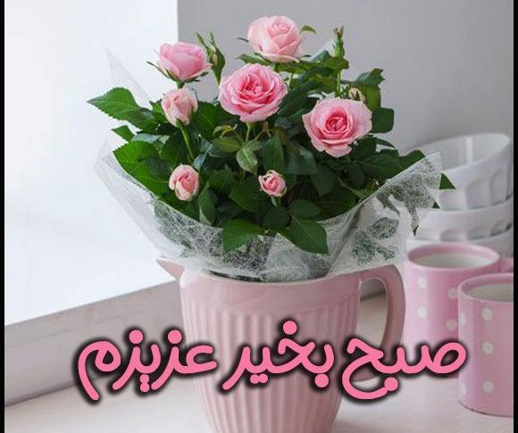عکس گل برای صبح بخیر گفتن