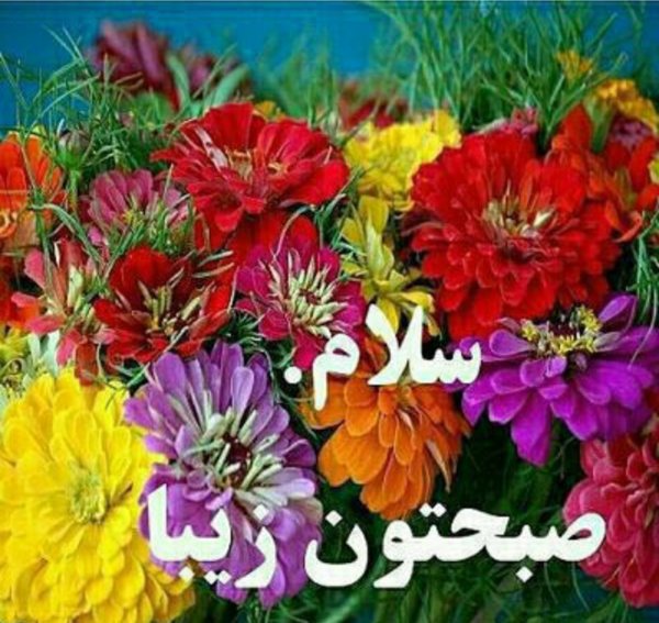 عکس گل برای صبح بخیر گفتن