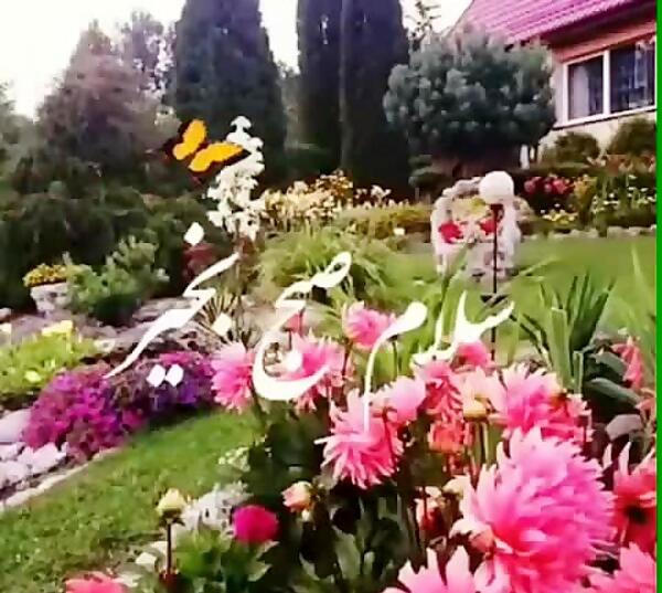 متحرک عکس سلام صبح بخیر جدید