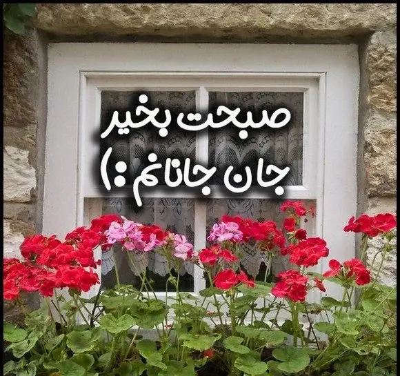 پیامک صبح بخیر با عکس گل