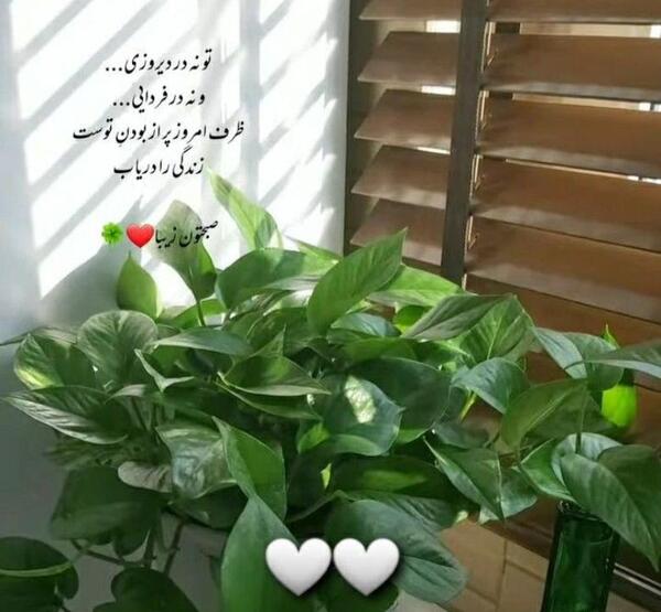 متن و عکس سلام صبح بخیر لاکچری