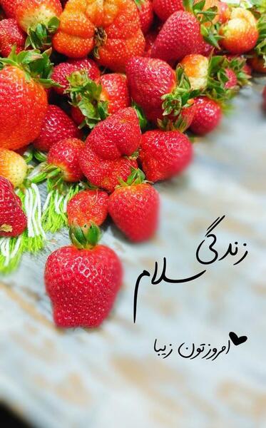 عکس صبح بخیر پیج کاری