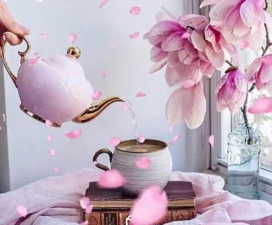 سلام صبح بخیر روز سه شنبه با عکس
