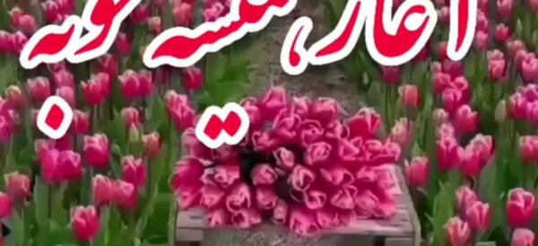عکس سلام صبح بخیر روز شنبه
