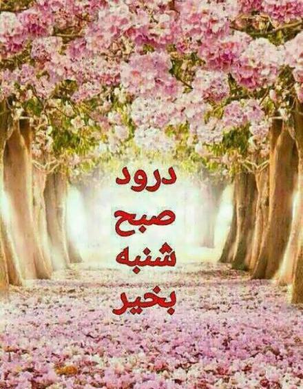 دانلود عکس صبح بخیر روز شنبه
