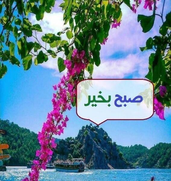 عکس صبح بخیر عاشقانه به همسر