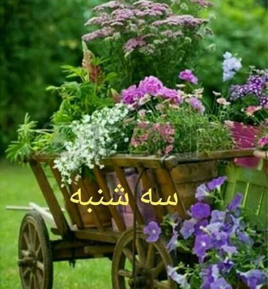 عکس سلام صبح بخیر سه شنبه