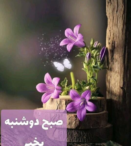 عکس سلام صبح بخیر سه شنبه