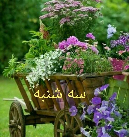عکسهای صبح بخیر روز سه شنبه