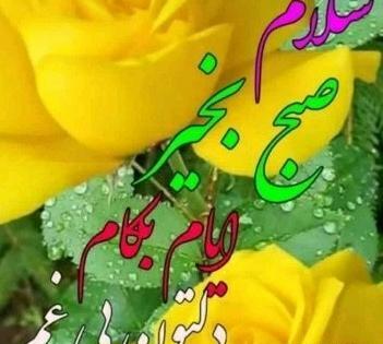 عکس سلام صبح همگی بخیر و شادی
