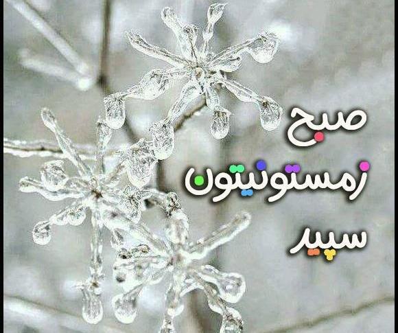 عکس صبح بخیر شنبه زمستانی