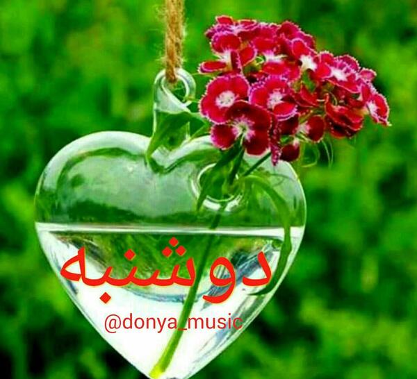 صبح بخیر روز یکشنبه با عکس