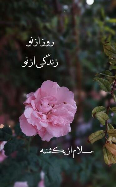 صبح بخیر روز یکشنبه با عکس