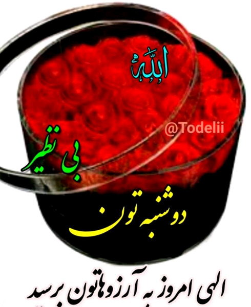 عکس های صبح دوشنبه بخیر