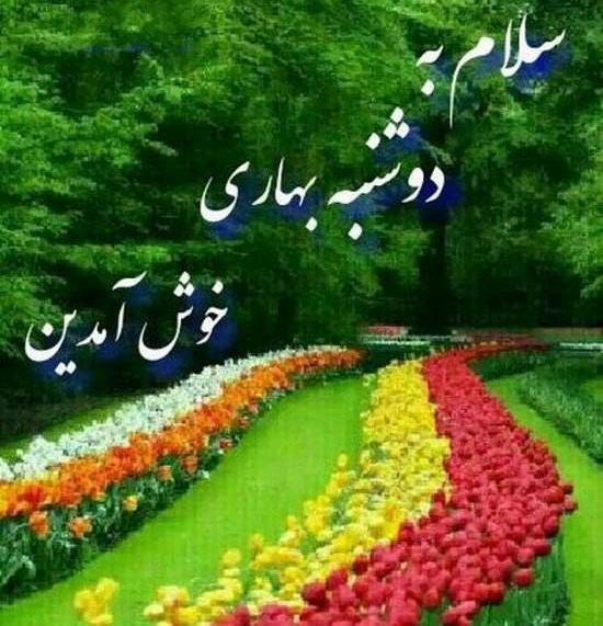 عکس های صبح دوشنبه بخیر