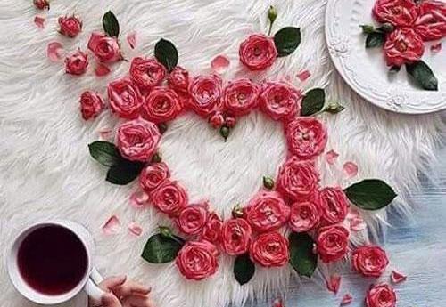 عکس خوشگل برای صبح بخیر