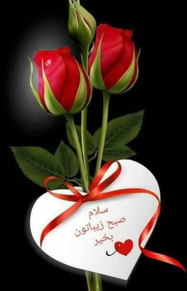عکس صبح بخیر جدید۱۴۰۲