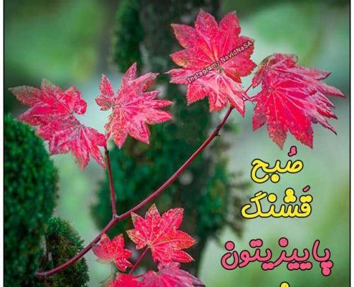 عکس صبح بخیر جدید۱۴۰۲