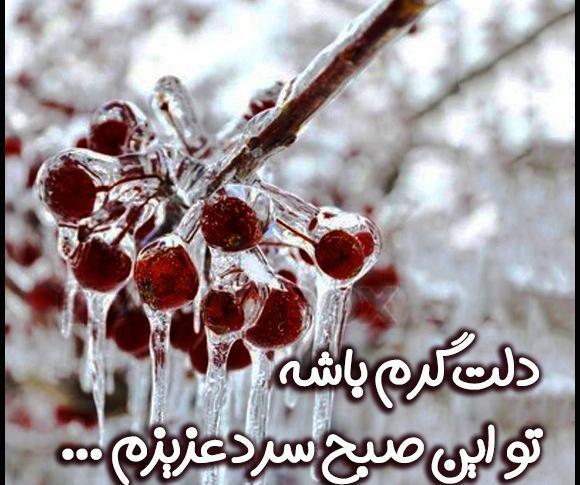 عکس سلام صبح بخیر جدید زمستانی