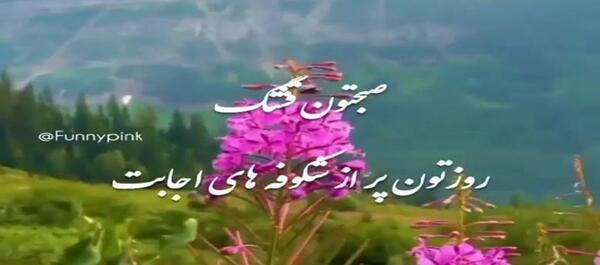 عکس سلام صبح بخیر جدید زمستانی