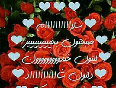 دانلود عکس سلام صبح بخیر چهارشنبه