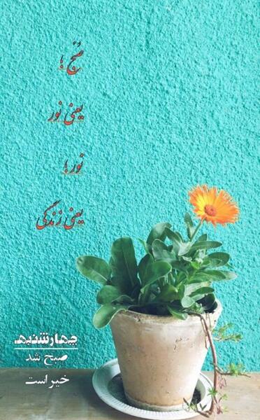 عکس صبح بخیر چهارشنبه جدید