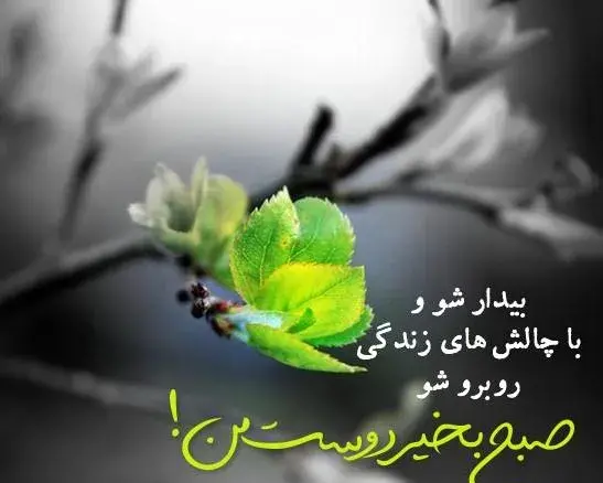عکس صبح چهارشنبه تون بخیر