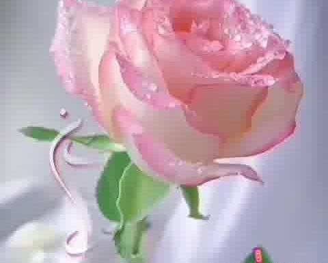 عکس سلام صبح بخیر جدید۱۴۰۰