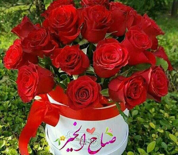 عکس صبح بخیر عربی جدید