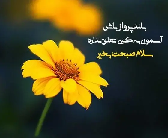 عکس صبح بخیر شاد و پر انرژی