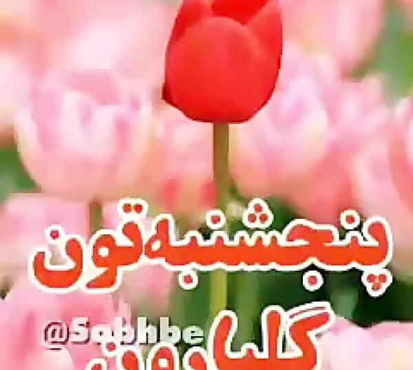دانلود عکس صبح بخیر پنجشنبه