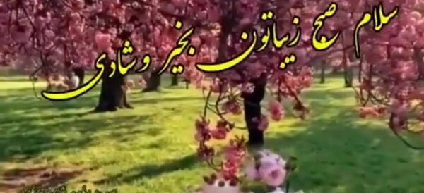 عکس استوری صبح بخیر انگیزشی