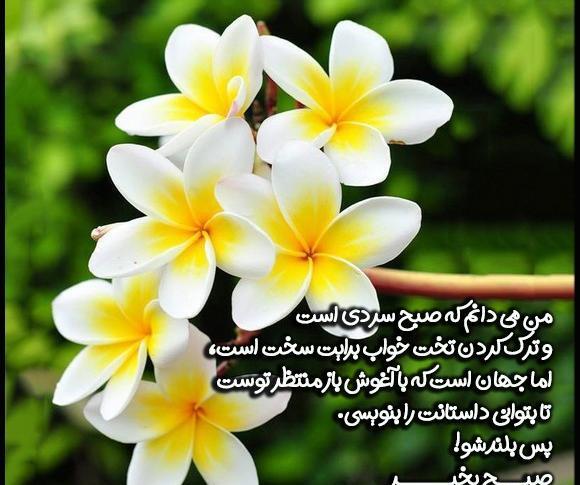 دانلود عکس صبح بخیر انگیزشی