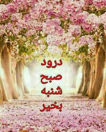 دانلود عکس صبح بخیر اول هفته