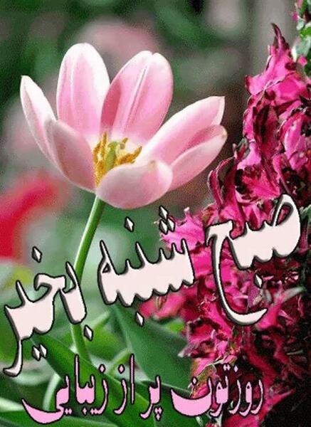 عکس صبح بخیر روز شنبه اول هفته