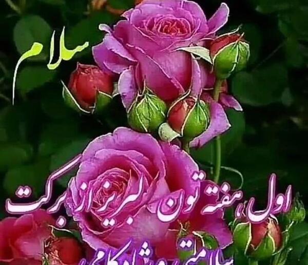 عکس نوشته های صبح بخیر اول هفته